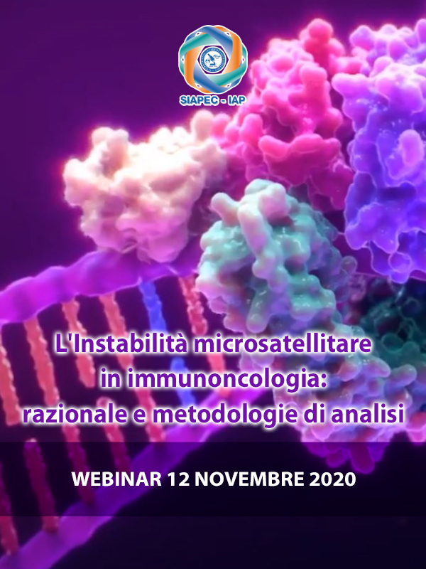 Programma Lâ€™instabilitÃ  microsatellitare in immunooncologia: Razionale e Metodologie di analisi